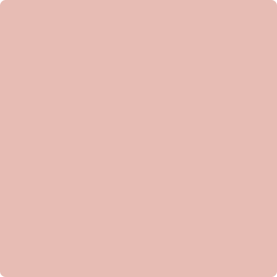 Gush Cool X Exterior Paint - Blush Pink BS04C33