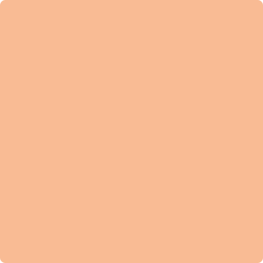 Gush Ultra X Exterior Paint - Smoked Salmon BS06D41