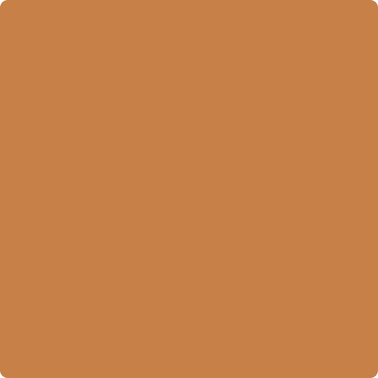 Gush Cool X Exterior Paint - Burnt Sienna BS06D43