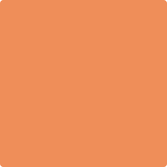 Gush Cool X Exterior Paint - Mandarin Orange BS06E51