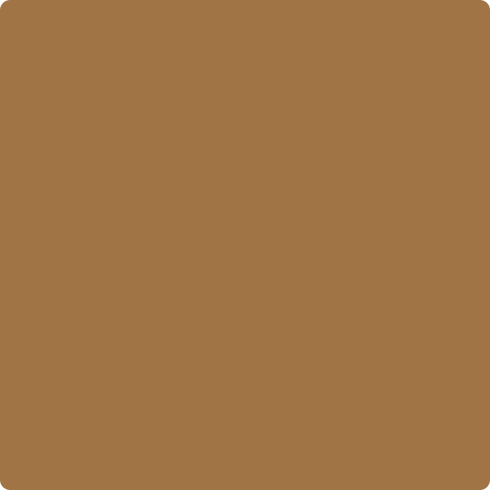 Gush Core X Exterior Paint - Oakwood BS08C37