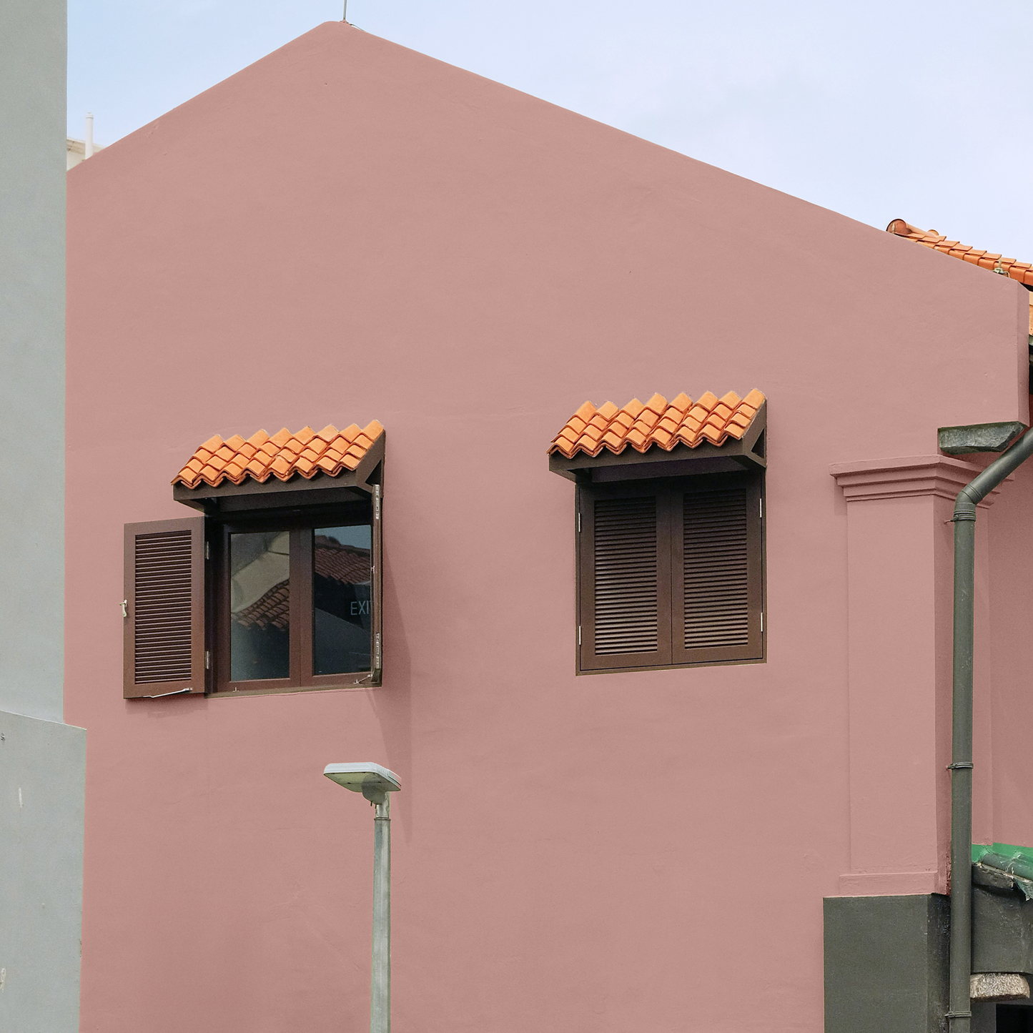 Blush Pink