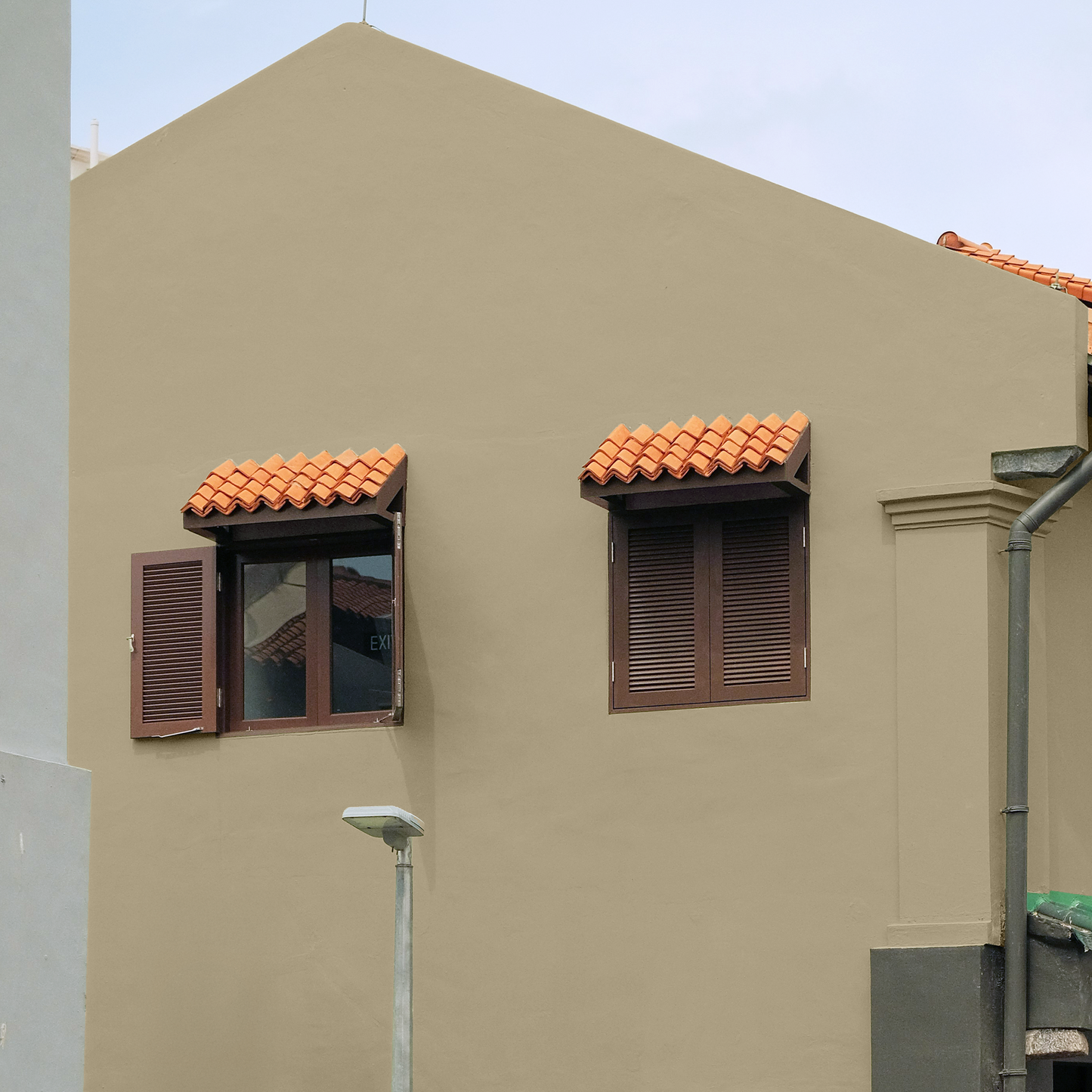 Coastal Brown