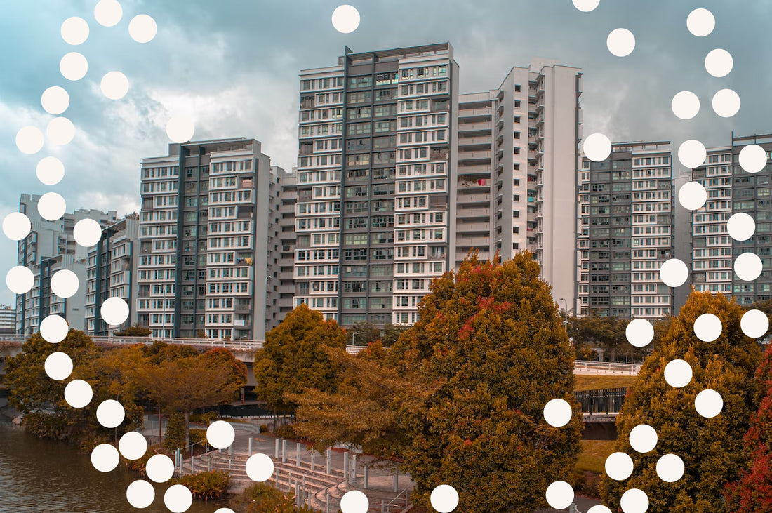 Mould or algae? A mini investigation of Sengkang and Punggol flats