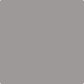 Gush Cool X Exterior Paint - Space Gray BS02A07