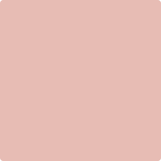 Gush Cool X Exterior Paint - Blush Pink BS04C33