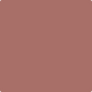 Gush Cool X Exterior Paint - Rouge Brown BS04C37