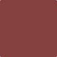 Gush Cool X Exterior Paint - Deep Umber BS04D45