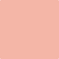 Gush Ultra Cool X Exterior Paint - Flamingo Pink BS04E50