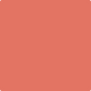 Gush Core X Exterior Paint - Coral Red BS04E51