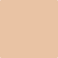 Gush Ultra Cool X Exterior Paint - Suntanned BS06C33