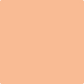 Gush Ultra Cool X Exterior Paint - Smoked Salmon BS06D41