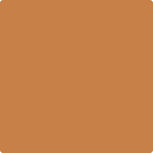 Gush Cool X Exterior Paint - Burnt Sienna BS06D43