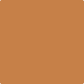 Gush Core X Exterior Paint - Burnt Sienna BS06D43