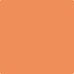 Gush Cool X Exterior Paint - Mandarin Orange BS06E51