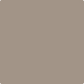 Gush Ultra X Exterior Paint - Mocha BS08B21