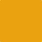 Gush Core X Exterior Paint - Mustard Yellow BS08E51