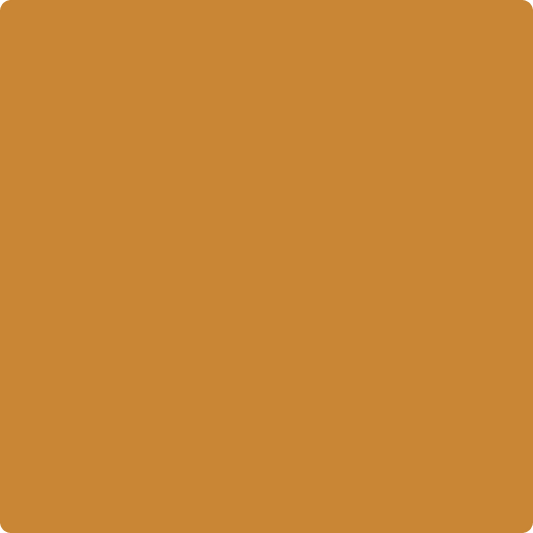 Gush Cool X Exterior Paint - Sepia Brown BS08E56