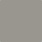 Gush Cool X Exterior Paint - Basalt Wash BS10A07