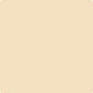 Gush Cool X Exterior Paint - Dulled Gold BS10C31