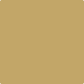 Gush Core X Exterior Paint - Marmalade Brown BS10C35