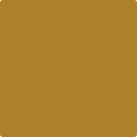 Gush Ultra Cool X Exterior Paint - Sediment Brown BS10D43