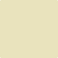 Gush Cool X Exterior Paint - Pale Timber BS12C31