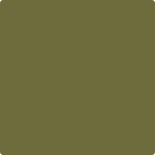 Gush Ultra X Exterior Paint - Lichen Green BS12D45