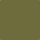 Gush Core X Exterior Paint - Lichen Green BS12D45