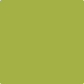 Gush Ultra X Exterior Paint - Leaf Green BS12E53