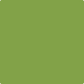 Gush Core X Exterior Paint - Good Matcha BS12E55