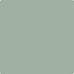 Gush Core X Exterior Paint - Army Green BS14C35