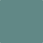 Gush Ultra Cool X Exterior Paint - Kelp Green BS16C37