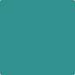 Gush Core X Exterior Paint - Caribbean Teal BS16E53