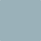 Gush Cool X Exterior Paint - Slate Gray BS18C35