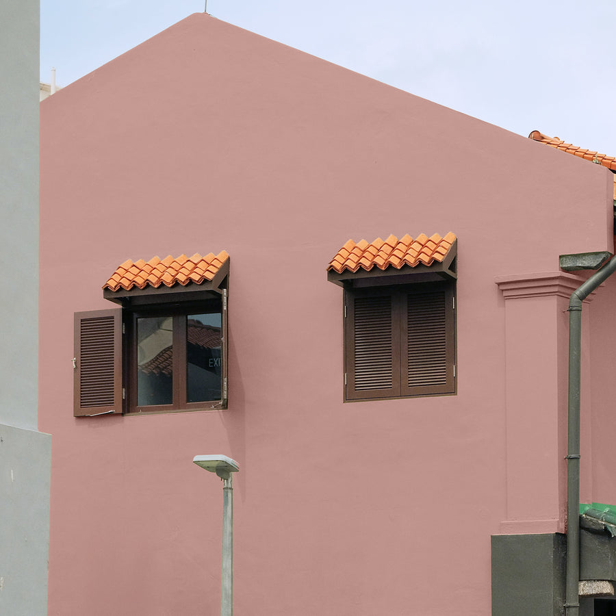 Blush Pink