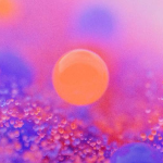 Gush absorption element