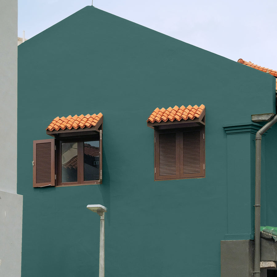 Kelp Green