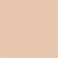 Gush HydroPro Enamel Paint - Breadwinner NE028B