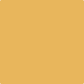 Gush CleanCare Interior Paint - Beesechurger YE010C - colour swatch