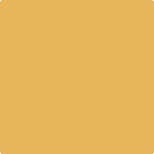 Gush CleanCare Interior Paint - Beesechurger YE010C - colour swatch
